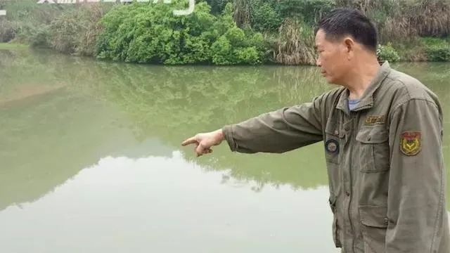 DƬ